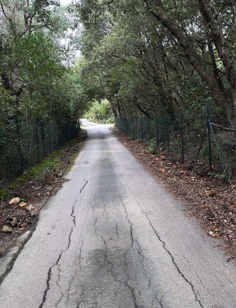 04-PERCORSO-18