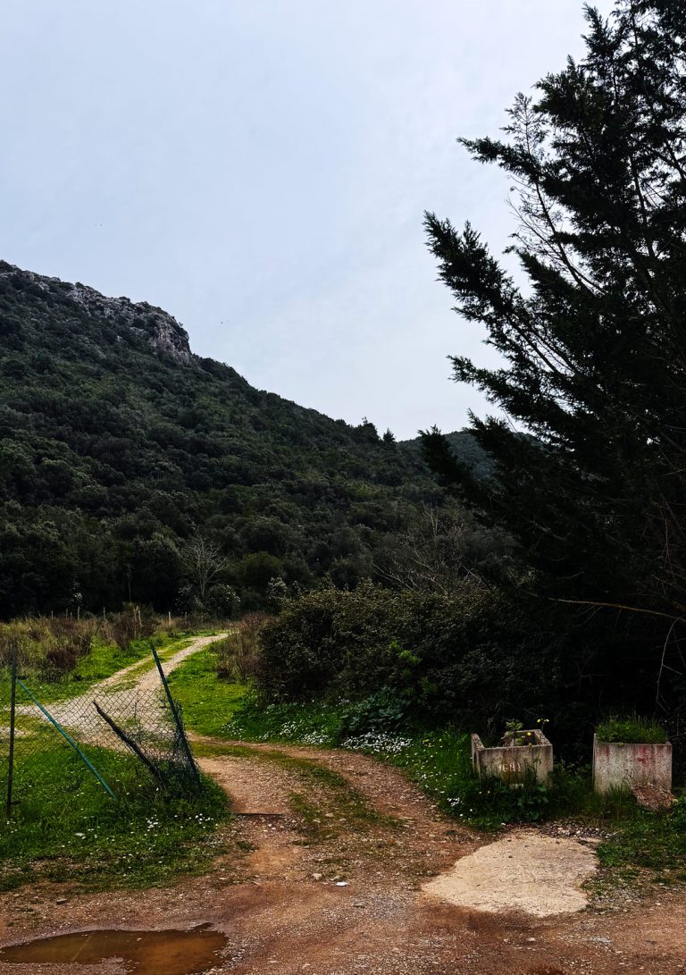 10-PERCORSO-19