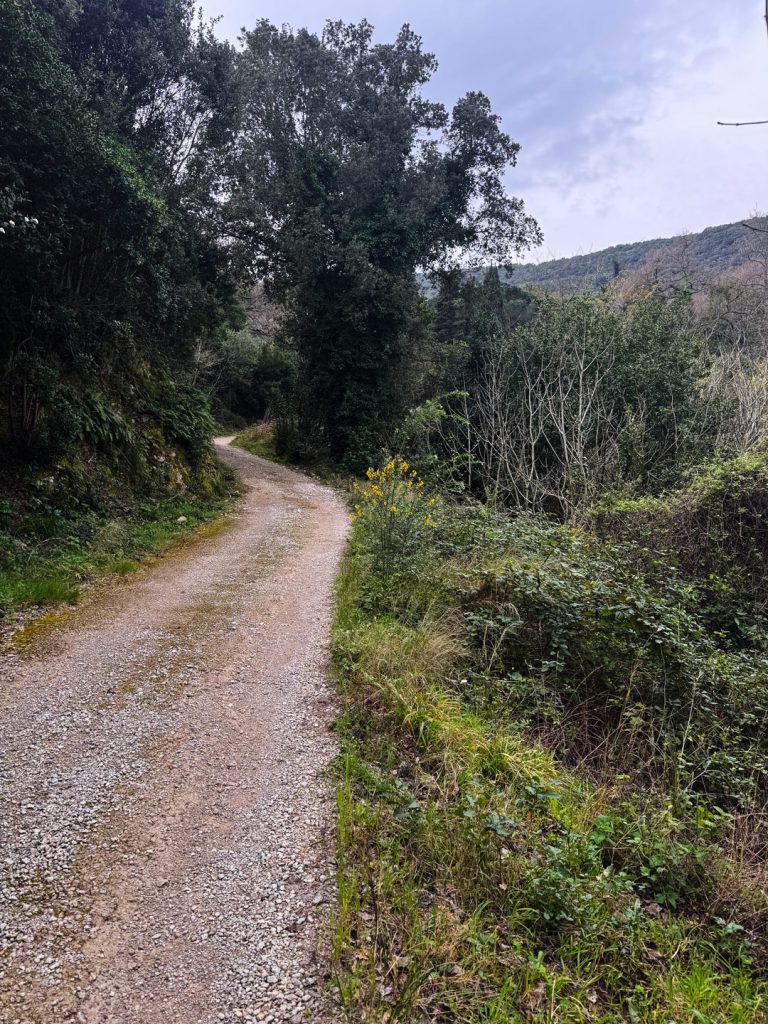 13-PERCORSO-18