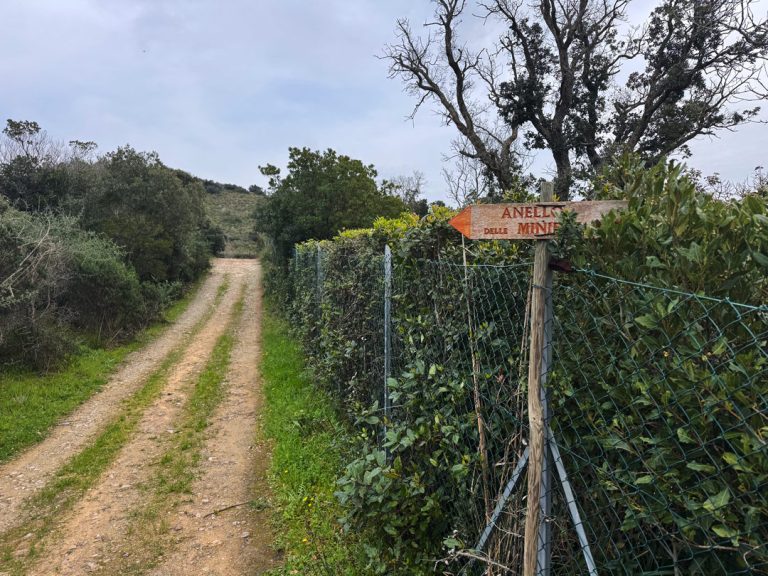 13-PERCORSO-19