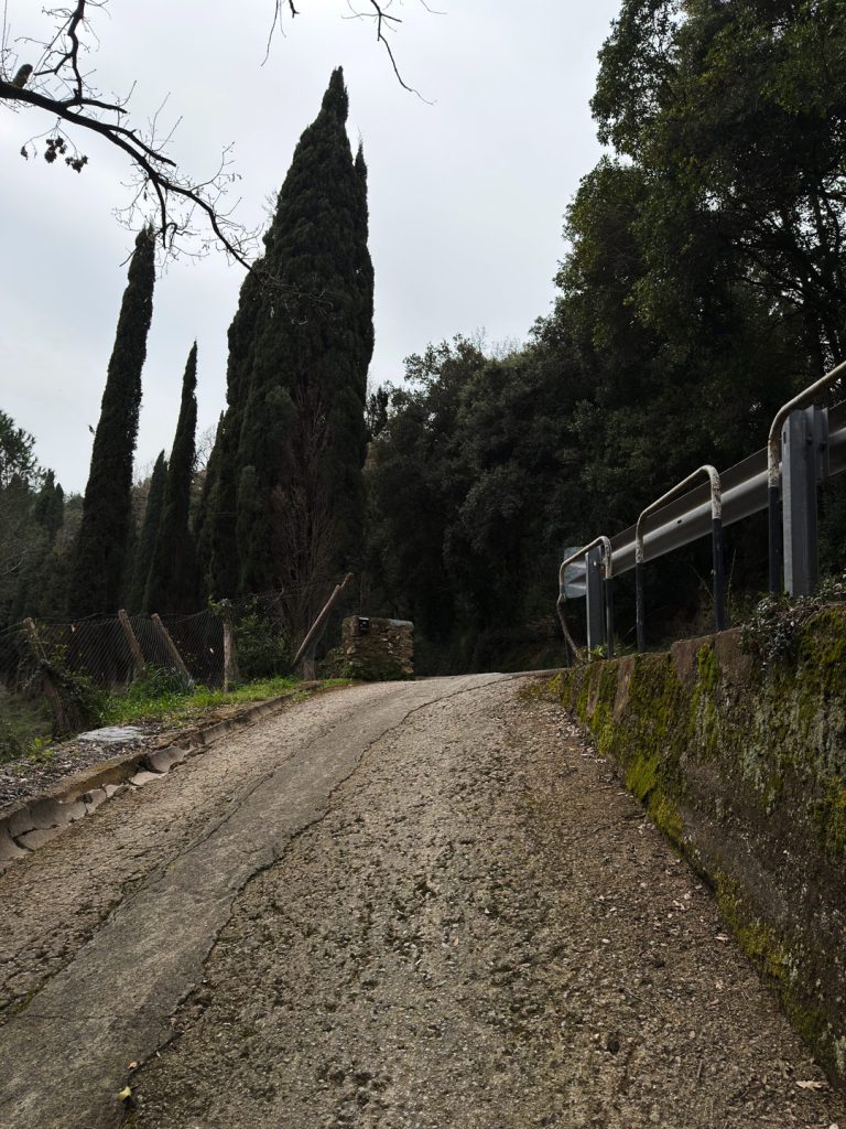 14b-PERCORSO-18