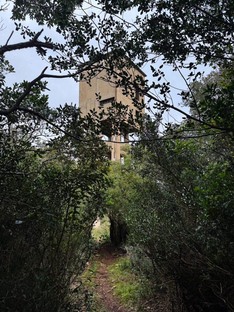 15-PERCORSO-19