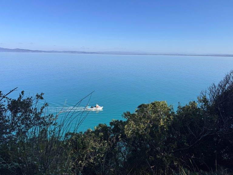 golfo-tramaglino-barca